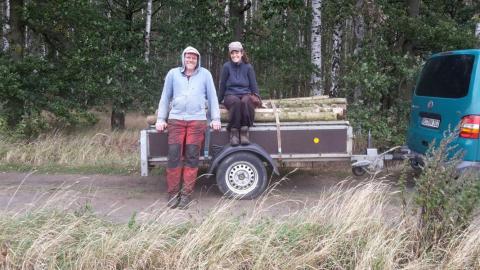 Holz machen für die Zäune